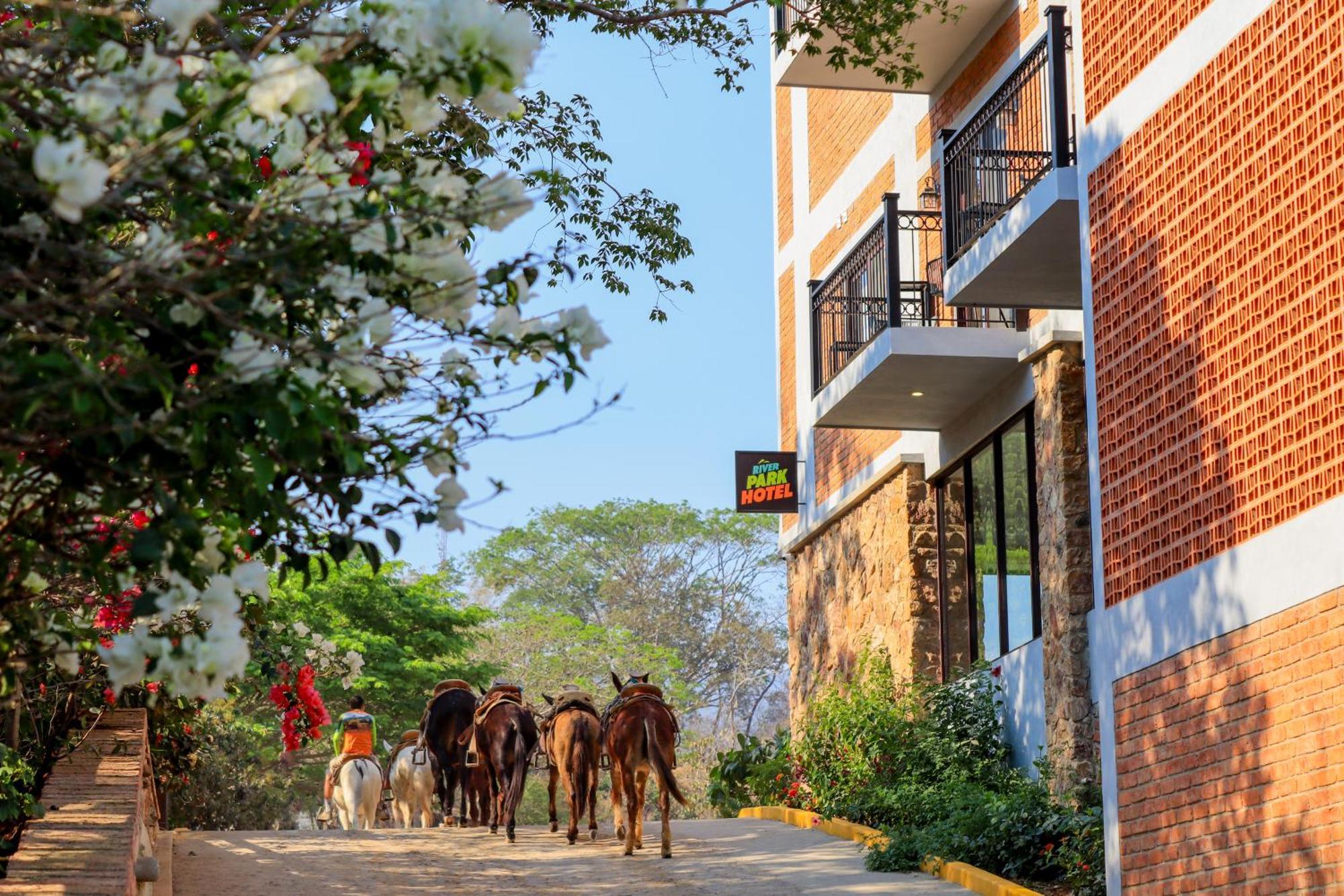 River Park Hotel Puerto Vallarta Exterior foto